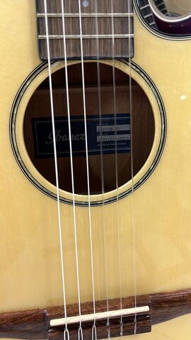 IBANEZ AEG50N-NT