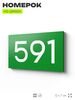 Номер на дверь 591, табличка на дверь для офиса, квартиры, кабинета, аудитории, склада, зеленая 120х70 мм, Айдентика Технолоджи