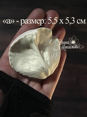 Молды пластиковые Набор 