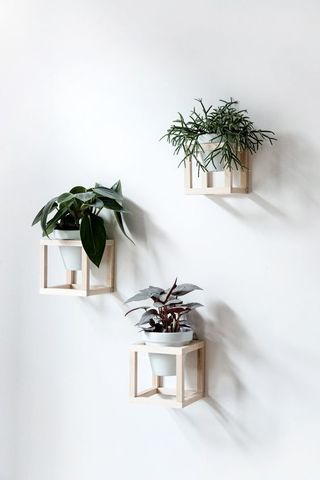 Настенные подставки для комнатных цветов