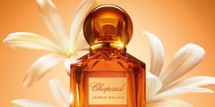 Эксклюзив 2025🧨 Chopard Jasmin Malika