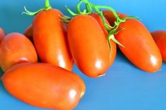 Семена Томат Дамские пальчики оранжевый, ОГ