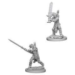 Female Human Barbarian / Женщины-варвары