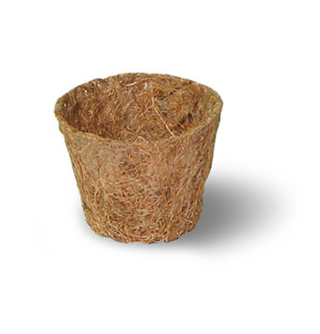 Coco pot d 5 cm