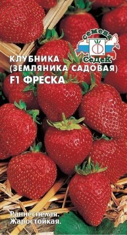 Семена Земляника Фреска F1