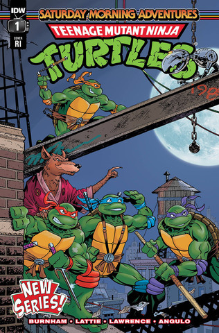 Teenage Mutant Ninja Turtles Saturday Morning Adventures Continued #1 (Cover D)