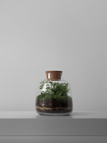 Экосистема Vase S