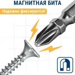 Бита отверточная ПРАКТИКА Профи двусторонняя PH-2 / PZ-2 х 65мм (2шт) (035-776)