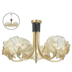 Потолочная люстра Odeon Light VENTAGLIO 4870/5