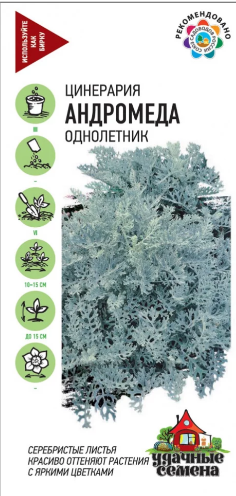 Цинерария Андромеда/Удачные семена 0,05гр ГШцветы
