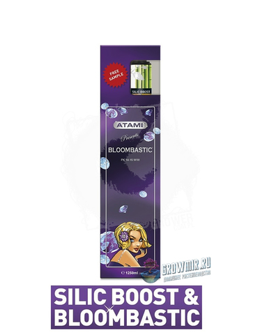 Комплект стимуляторов Bloombastic 1250 ml  + Silicboost 25 ml