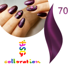 BSG Colloration, №70 Темно сливовый . BSG Colloration, №70 Темно сливовый .