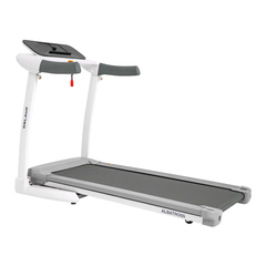 Беговая дорожка Orlauf Albatross