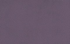 Велюр Tudor (LE) plum (Тудор плум)