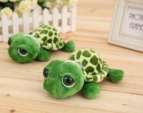 Turtle 7
