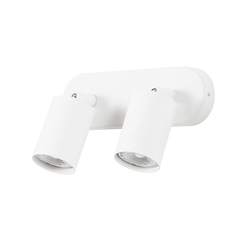 Настенно-потолочный светильник Arte Lamp AQUARIUS A3226PL-2WH
