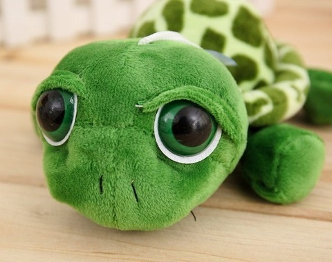Turtle 7