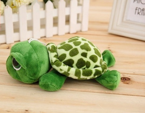 Turtle 7