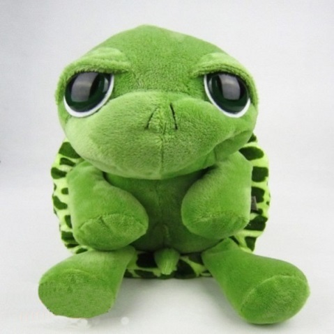 Turtle 8