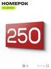Номер на дверь 250, табличка на дверь для офиса, квартиры, кабинета, аудитории, склада, красная 120х70 мм, Айдентика Технолоджи