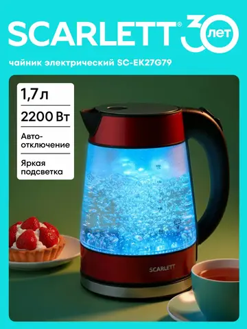 Чайник Scarlett SC-EK27G79