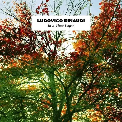 Виниловая пластинка. Ludovico Einaudi – In A Time Lapse