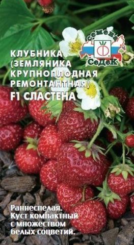 Семена Земляника Сластена F1