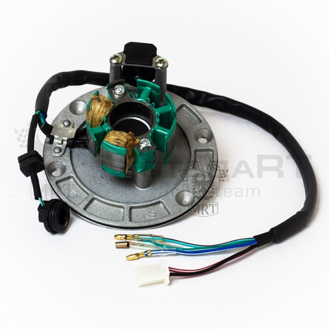 Статор генератора KAYO двиг. ZS155 см3 (P060504) CN