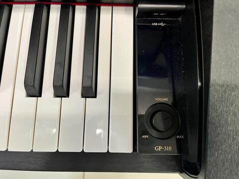 CASIO GP310 черный