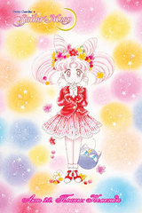 Sailor Moon. Том 5