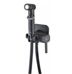 Lemark LM7165BL Встраиваемый смеситель с гигиеническим душем, латунь/чёрный фото