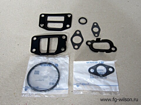 Комплект прокладок нижний / GASKET KIT - BOTTOM АРТ: 10000-02859