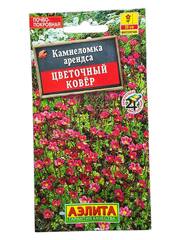 Камнеломка арендса Цветочный ковер (Аэлита)