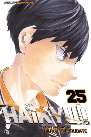 Haikyu!! Vol. 25 (На английском языке)