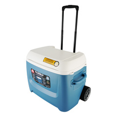 Купить недорого изотермический контейнер (термобокс) Igloo Maxcold 62 Roller