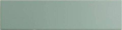 DNA Match Sage Matt 6.25x25