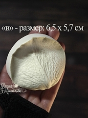 Молды пластиковые Набор 