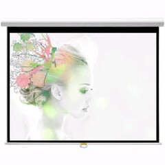 Экран для проектора Classic Solution Premier Orion II W 203х152/3 МW-FC/W