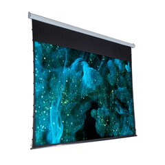Моторизированный проекционный экран Viewscreen Premium XL 200" 16:9 (EPR-16901) — фото 2