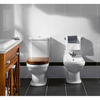 Villeroy&Boch Hommage 666210R1 Чаша унитаза напольная