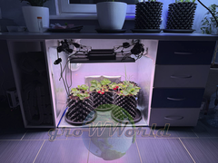 Контейнер Root Pot Air Белого цвета в ассортименте