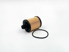 Вставка масляная BIG  GB-1463EC