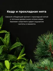 Modum MODO Гель для душа парфюм. мужской ЗАКРЫТЫЙ ГЕШТАЛЬТ (кедр,мята) 500мл (X824-606)
