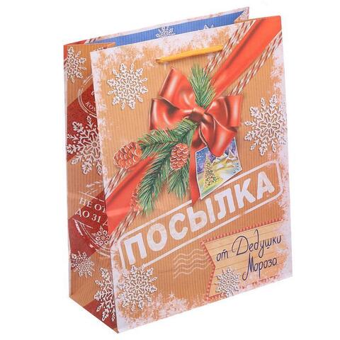 Купить Пакет «Посылка от Дедушки Мороза», 18х23х8 см в Магазине тельняшек