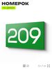 Номер на дверь 209, табличка на дверь для офиса, квартиры, кабинета, аудитории, склада, зеленая 120х70 мм, Айдентика Технолоджи
