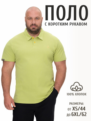 Поло фисташкового цвета мужское