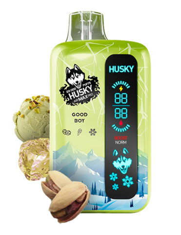 HUSKY AIR MAX PRO 20000 - Фисташковое мороженое со льдом (Good Boy)