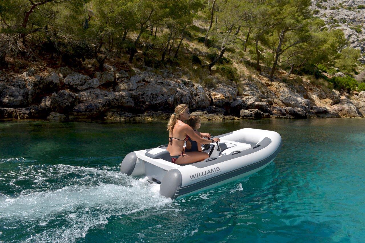Williams MiniJet 280