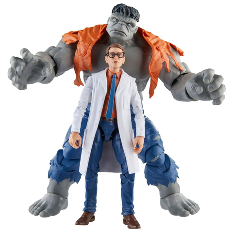 Marvel Legends Series Gray Hulk & DR. Bruce Banner