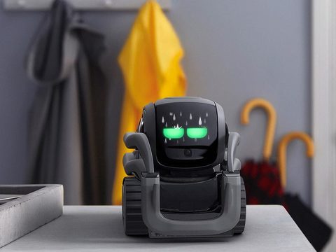 Робот Vector